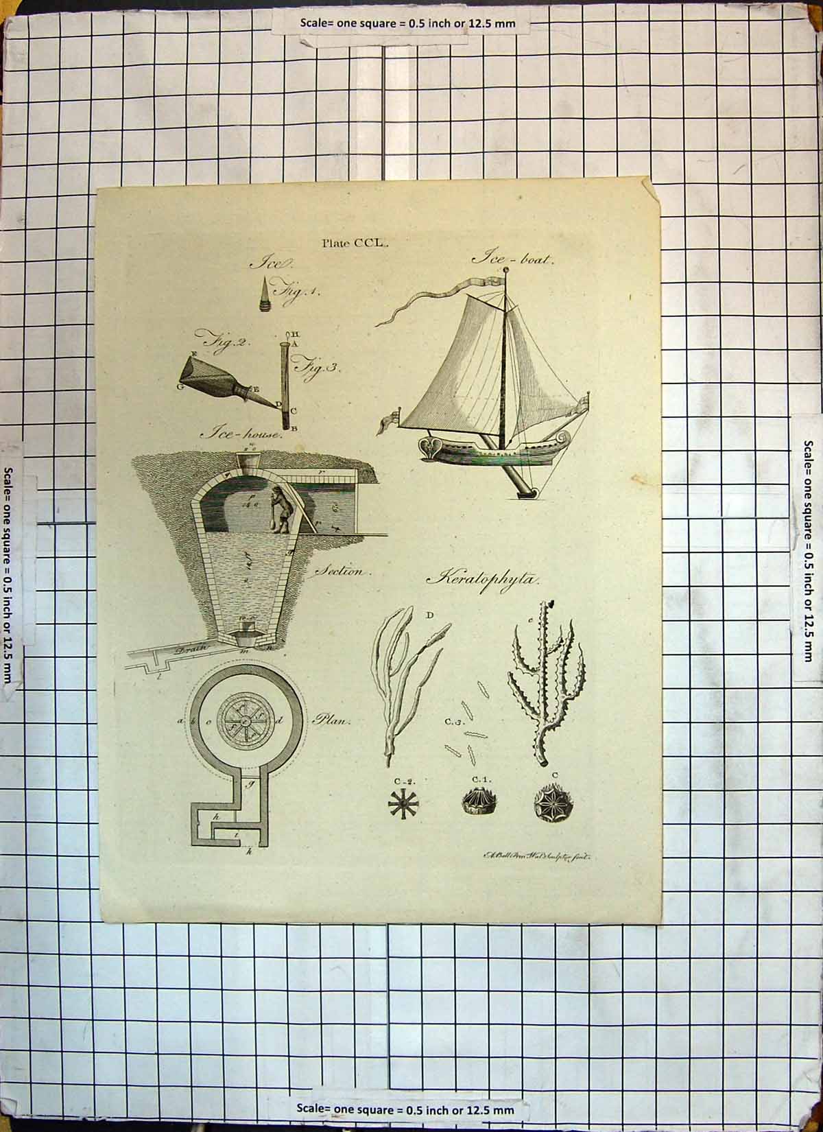 Original Old Antique Print Ice House Keratophyta Boat Plan Diagrams