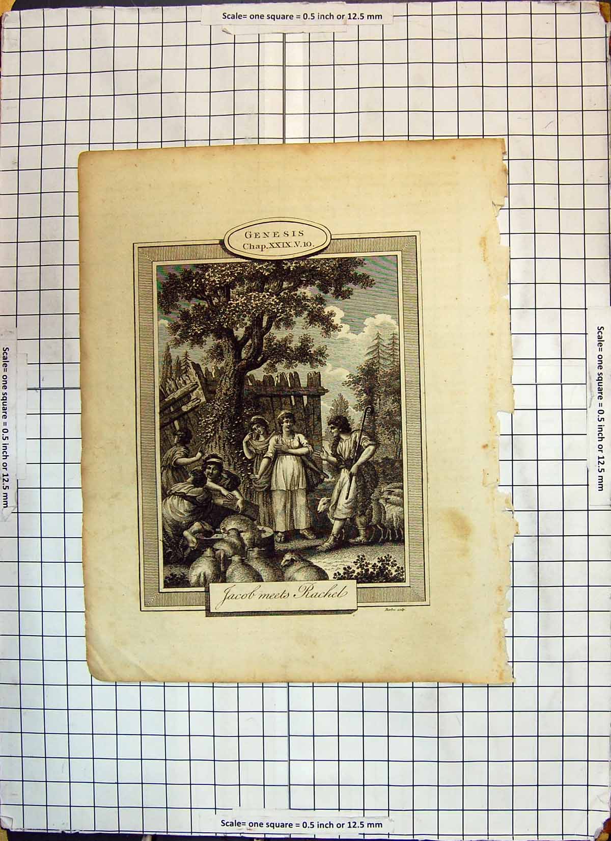 Original Old Antique Print Genesis Religious Scene Jacob Meets Rachel