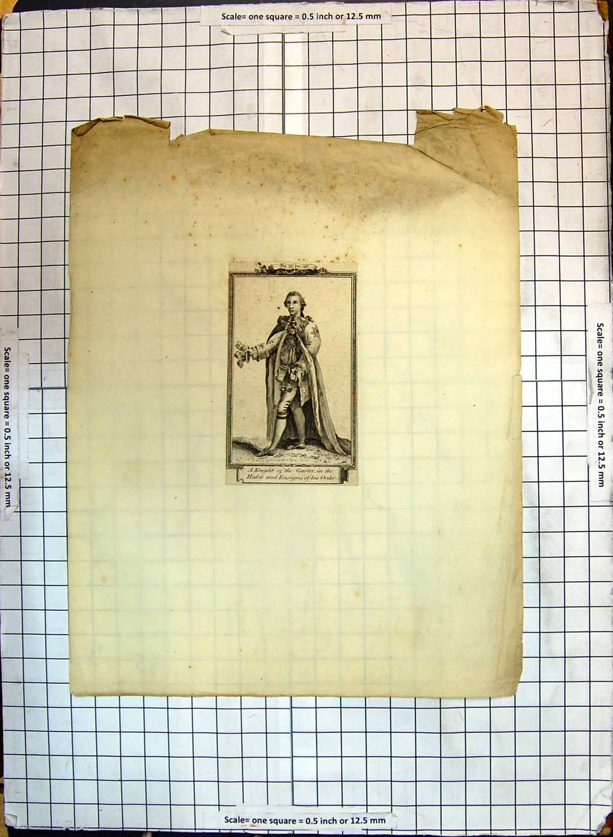 Original Old Antique Print Knight Garter Habit Ensigns Order Portrait Man 19th