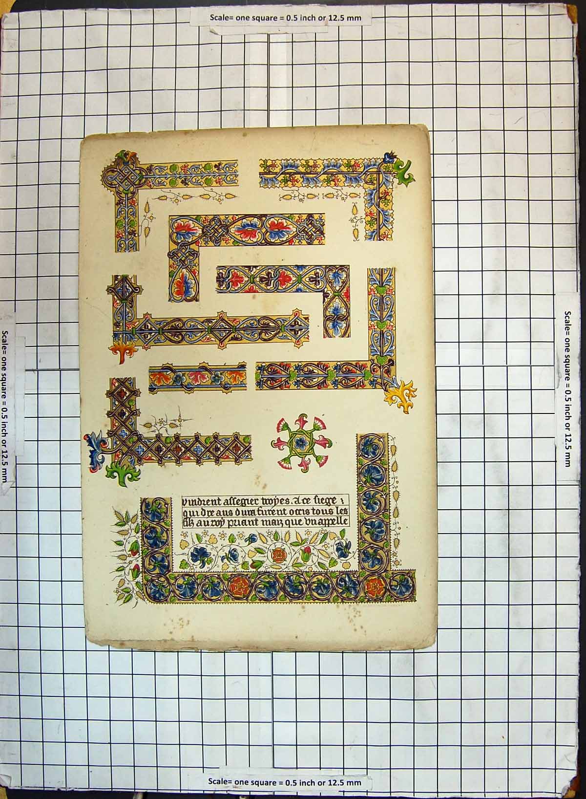 Original Old Antique Print Colour Shapes Flowers Calligraphy Letters Decoration