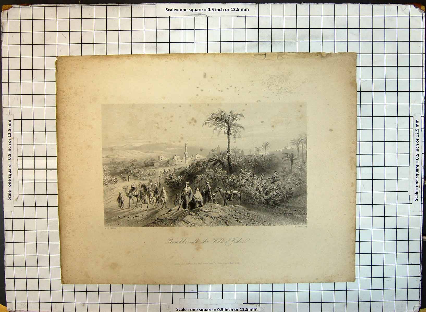 Antique Print View Ramleh Hills Judea Camels Architecture Brandard Bartlett