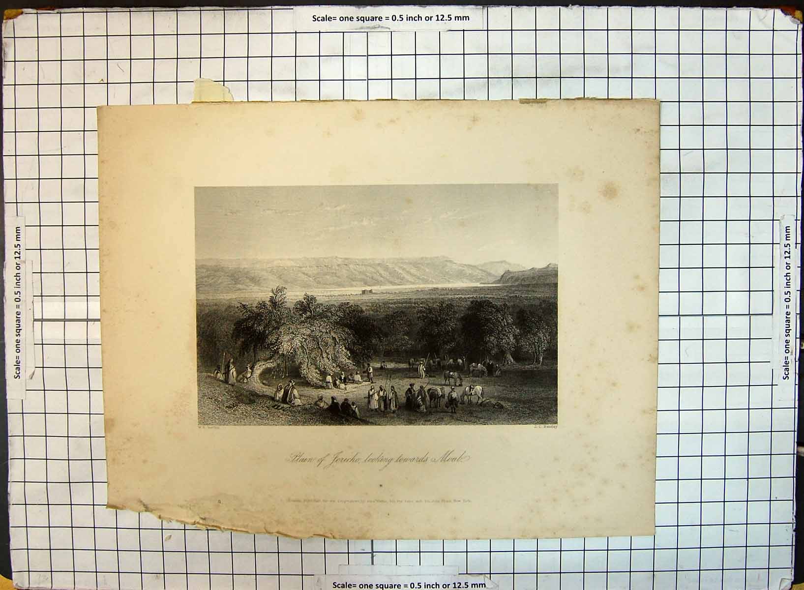 Old Engraving Plain Jericho Looking Towards Moab Mountains Bentley Ba