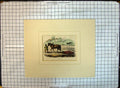Original Old Antique Print Colour Harrowing Horses Agriculture Farming