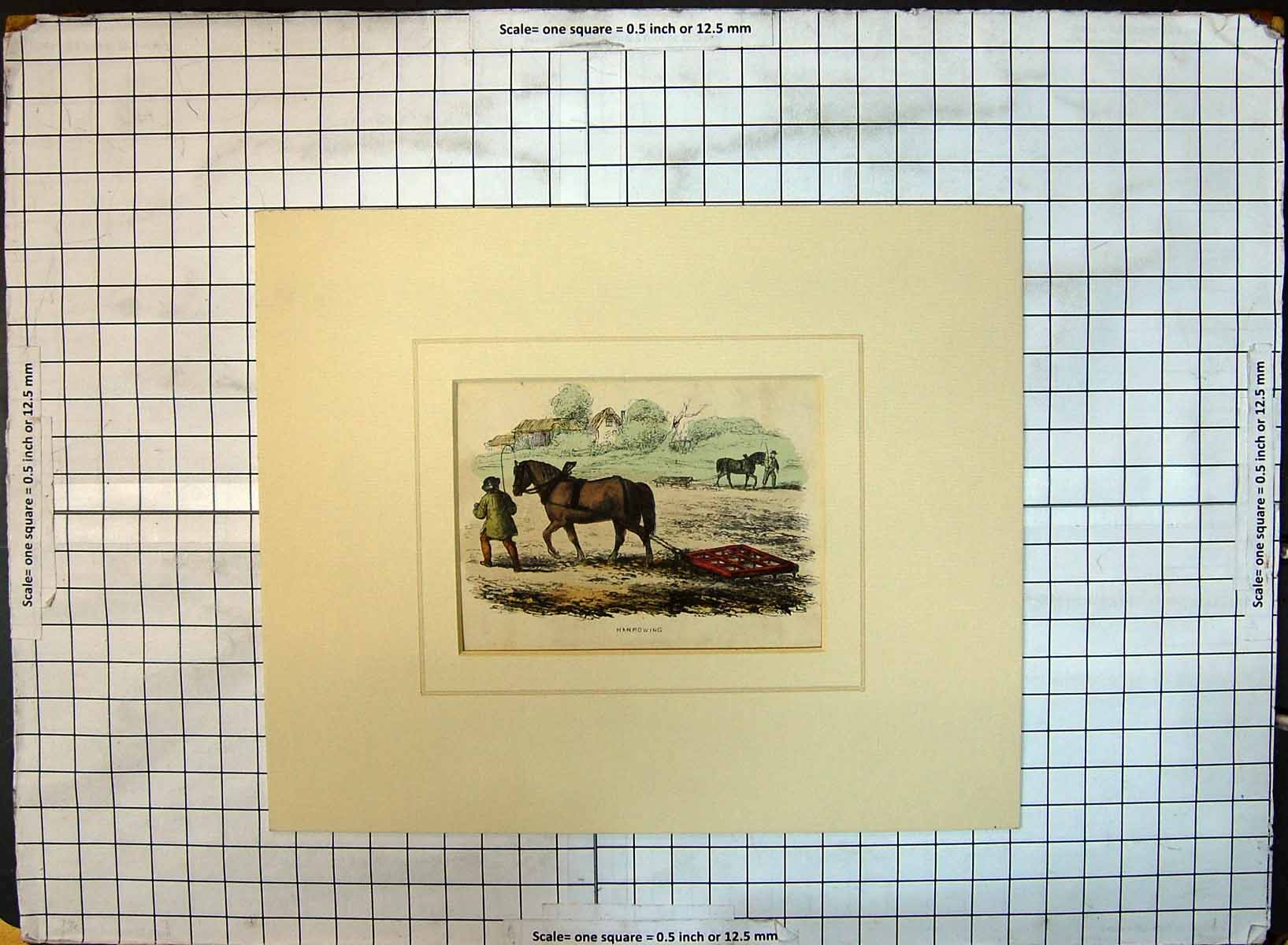 Original Old Antique Print Colour Harrowing Horses Agriculture Farming