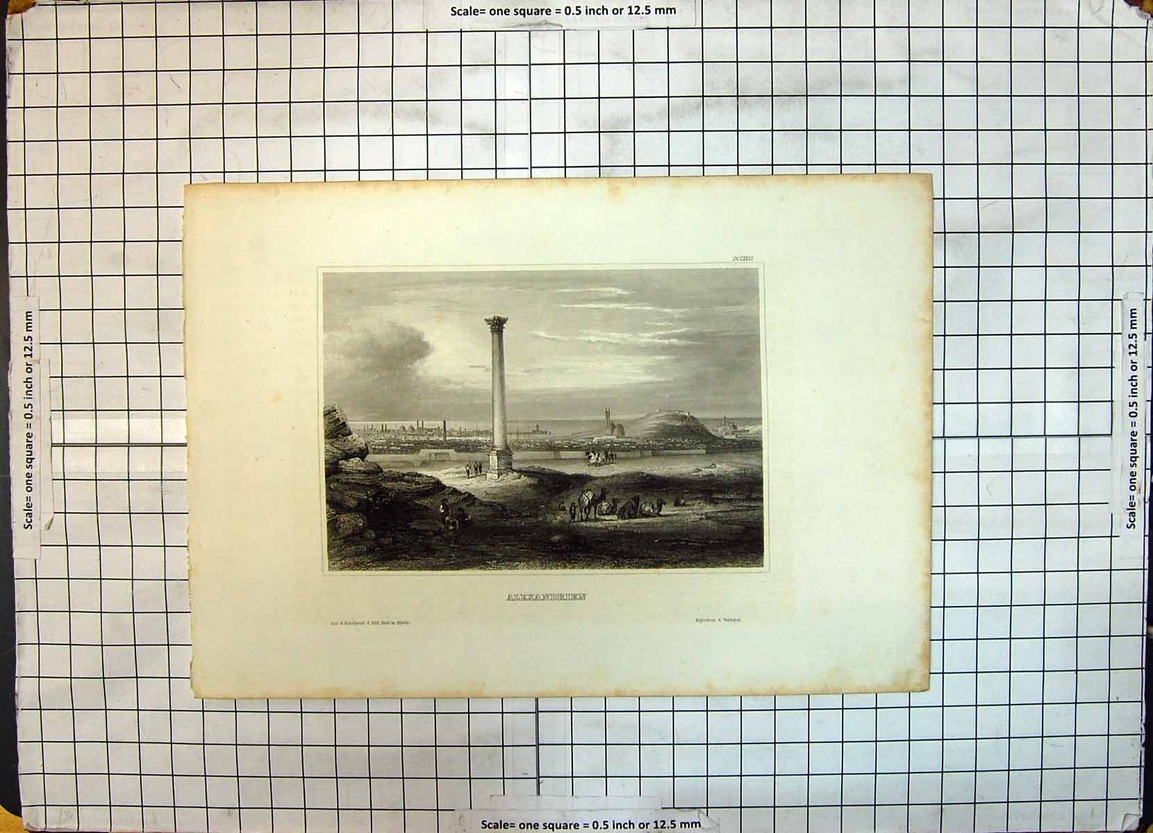 Original Old Antique Print View Alexandrien Camels Monument