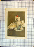 Original Old Antique Print Colour Storm Parrot Bird Nature Leighton