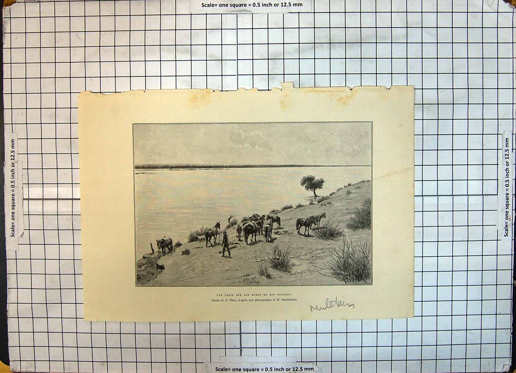 Old Antique Print Vue Prise Sur Les Bords Rio Neuquen Horses Lake Scene