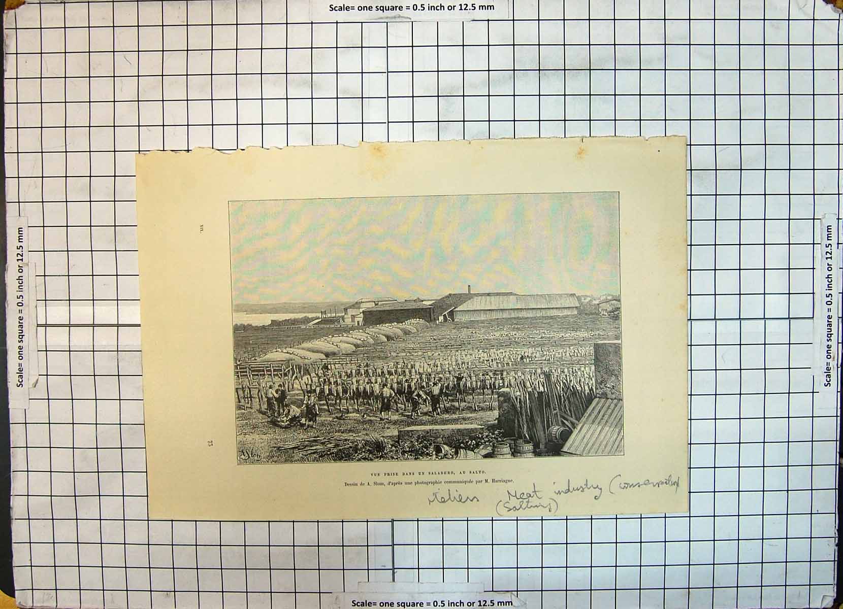 Old Antique Print Vue Prise Dans Saladero Au Salto Meat Industry Salting
