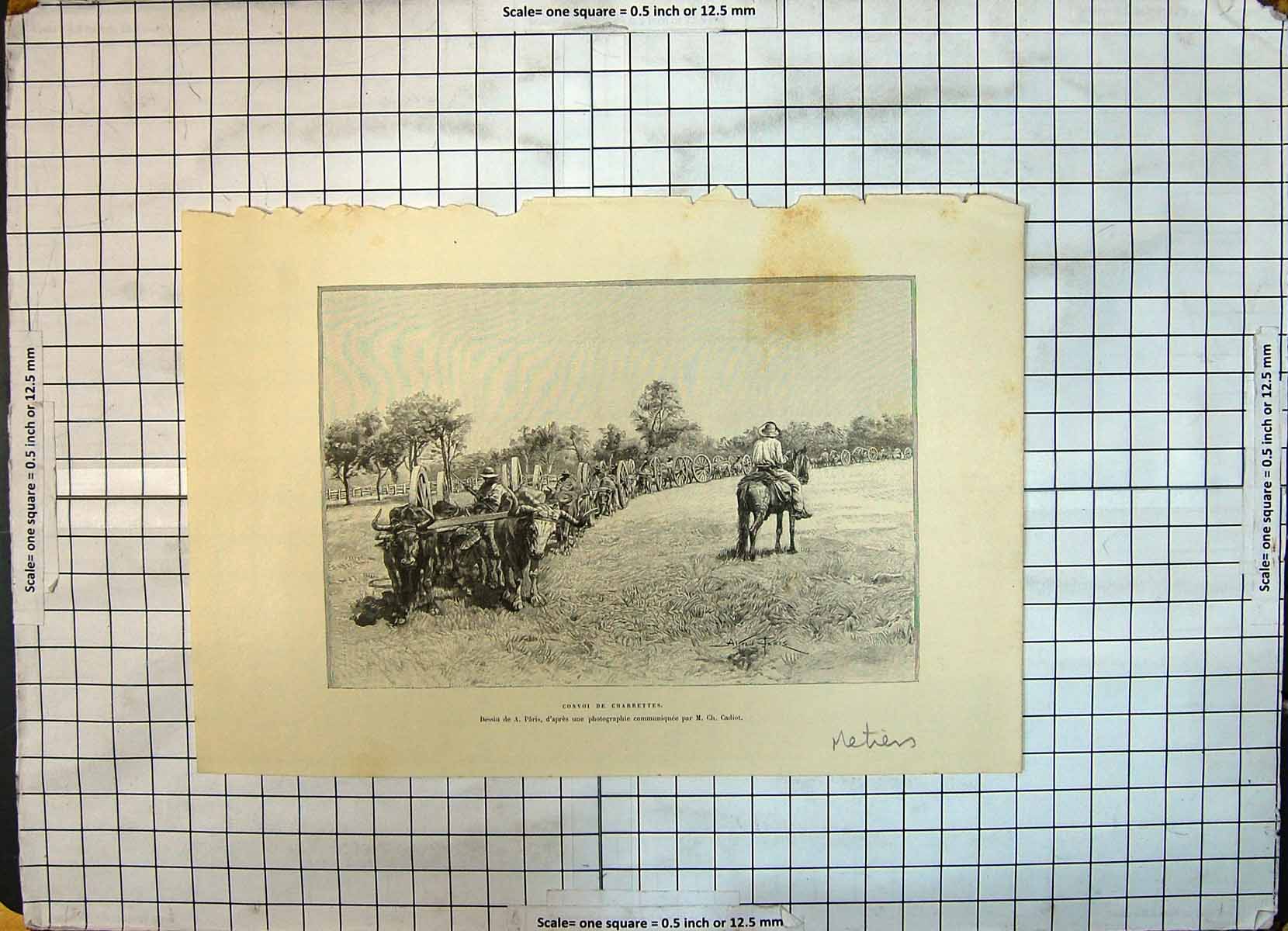 Original Old Antique Print Convoi De Charrettes Horses Wagons Convoy Cadiot