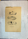 Original Old Antique Print Fashion Shoes Mule D'Honore Martin Sylvestre Pape