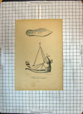 Original Old Antique Print Lampe Roumaine Semelle Dessous Meme Fashion Shoes
