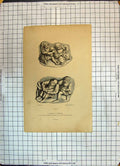 Old Antique Print Galochier Cordonnier Misericordes Rouen Cottard Racinet