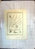 Antique Old Print Armes Instruments Musique Royaume Music Juida Flutte Paille