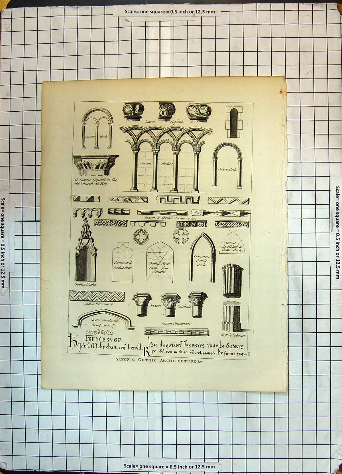 Old Antique Print Saxon Gothic Architecture Arch Church Ely Niche Column
