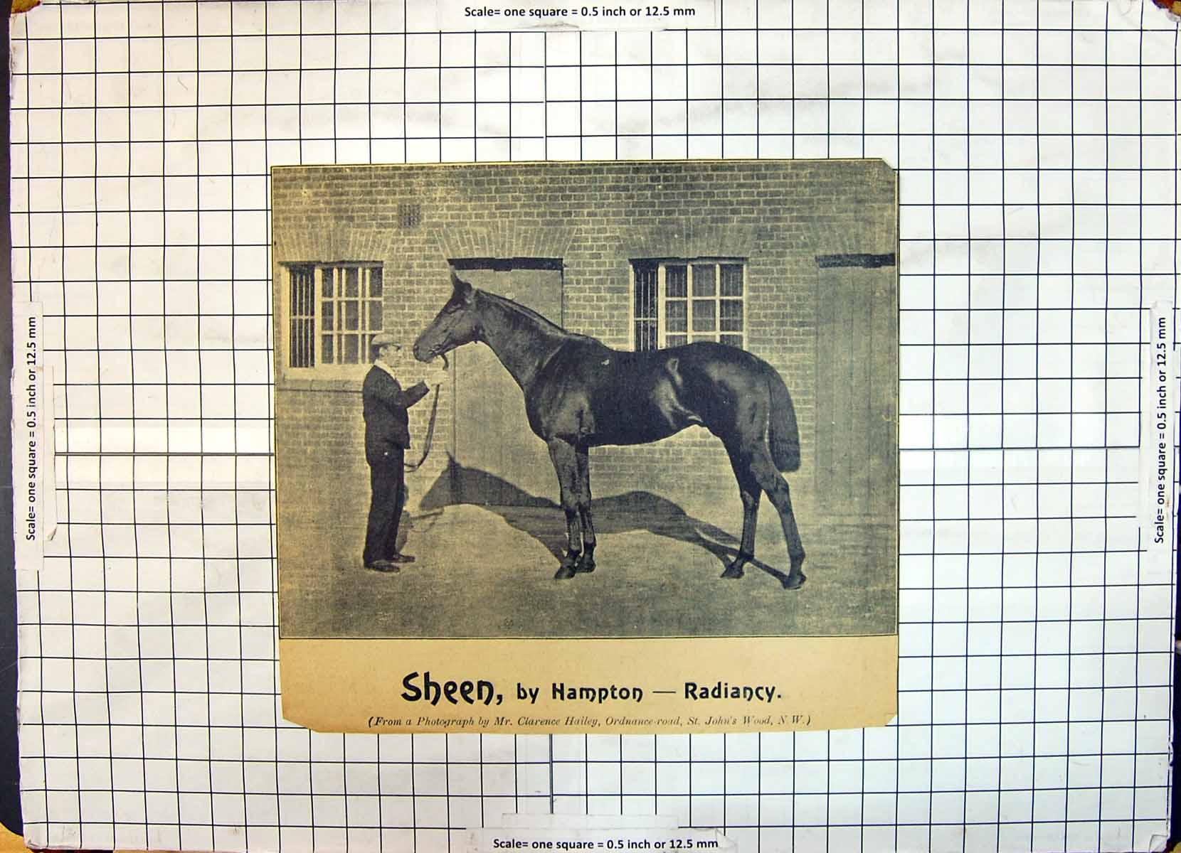 Antique Print Sheen Race Horse Hampton Radiancy Men Photograph Hailey Wood