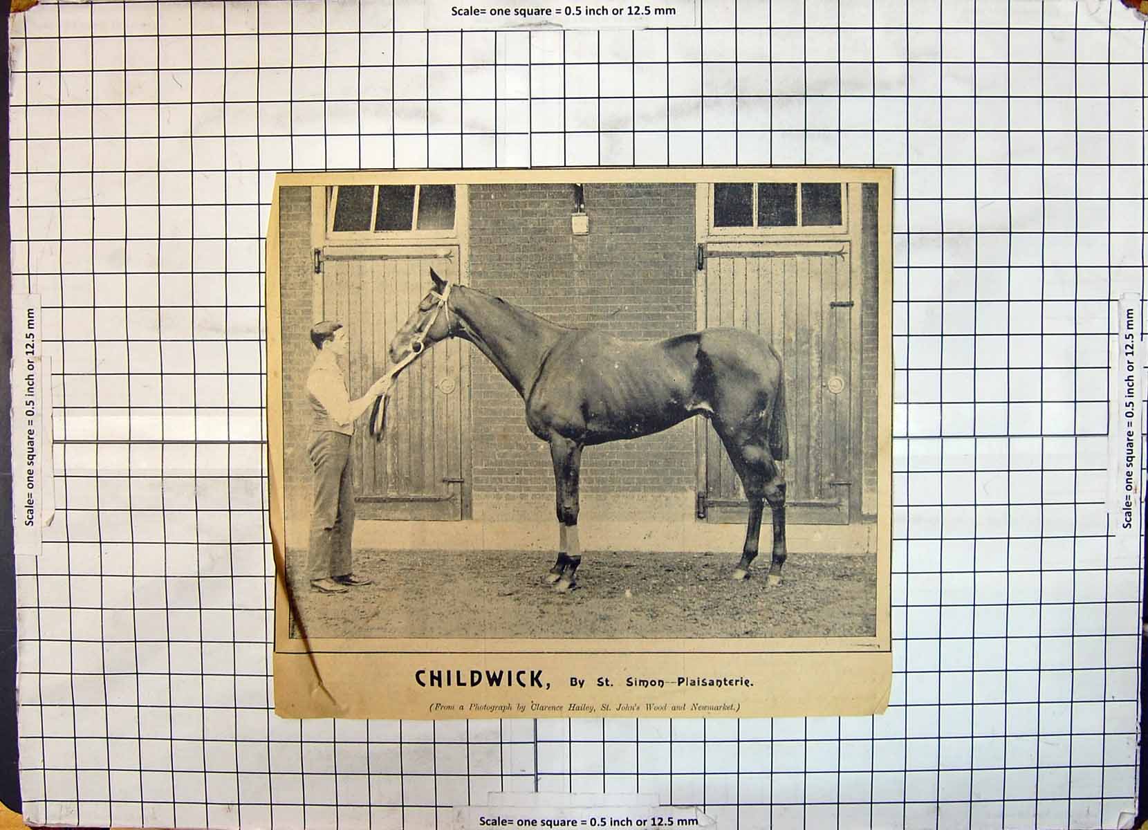 Old Race Horse Childwick Trainer Simon Plaisanterie Hailey John'S Woo