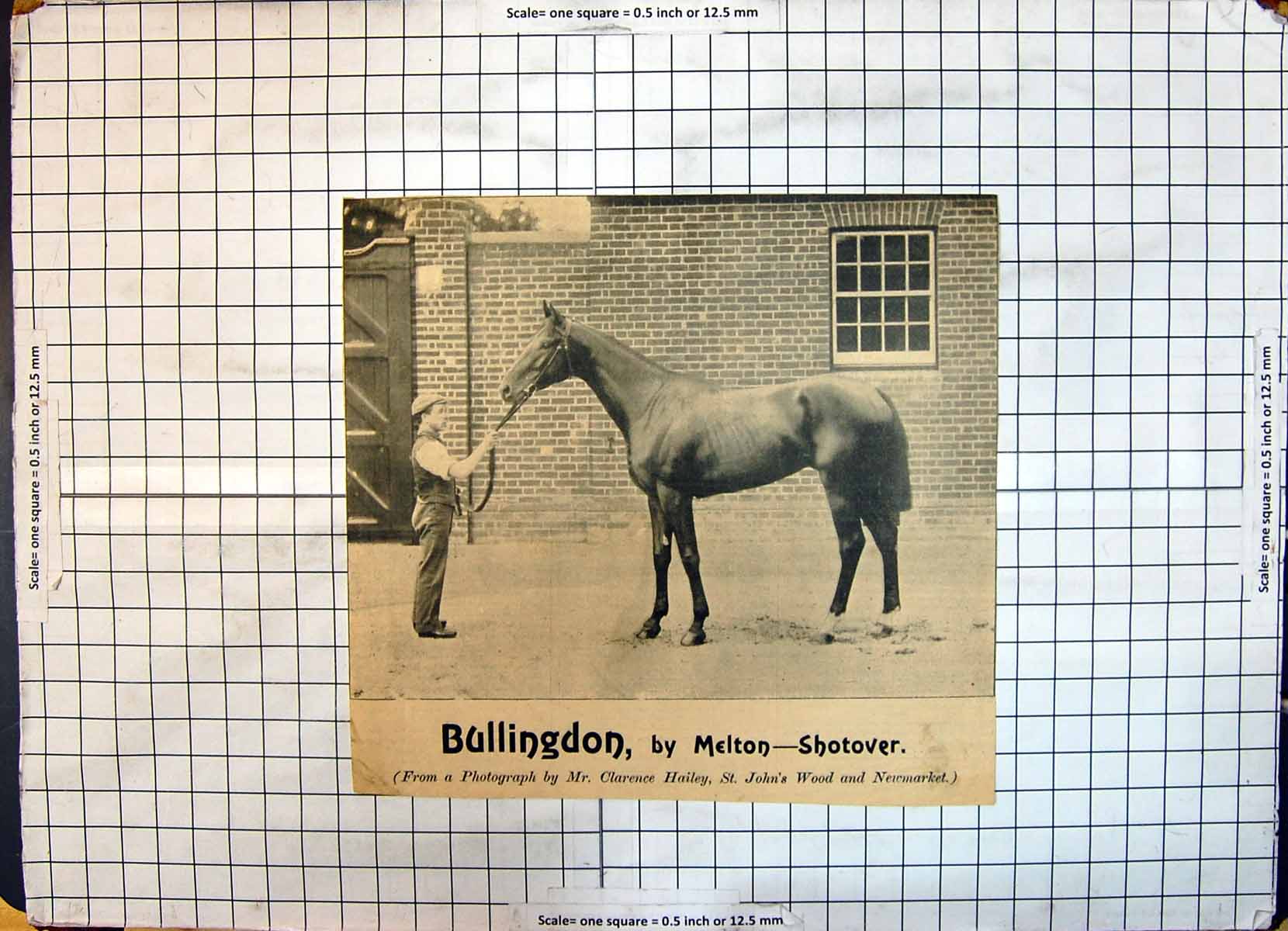 Old Race Horse Bullingdon Melton Shotover Clarence Hailey John'S Wood