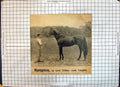 Old Print Race Horse Hampton Lord Clifden Lady Langden Sherborn Newmarket