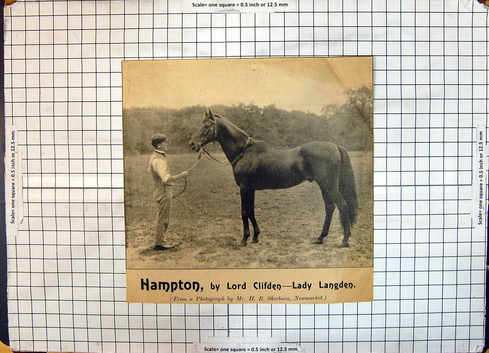 Old Print Race Horse Hampton Lord Clifden Lady Langden Sherborn Newmarket