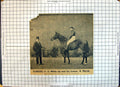 Antique Old Print Race Horse Florizel Watts Up Trainer Marsh Hailey Newmarket