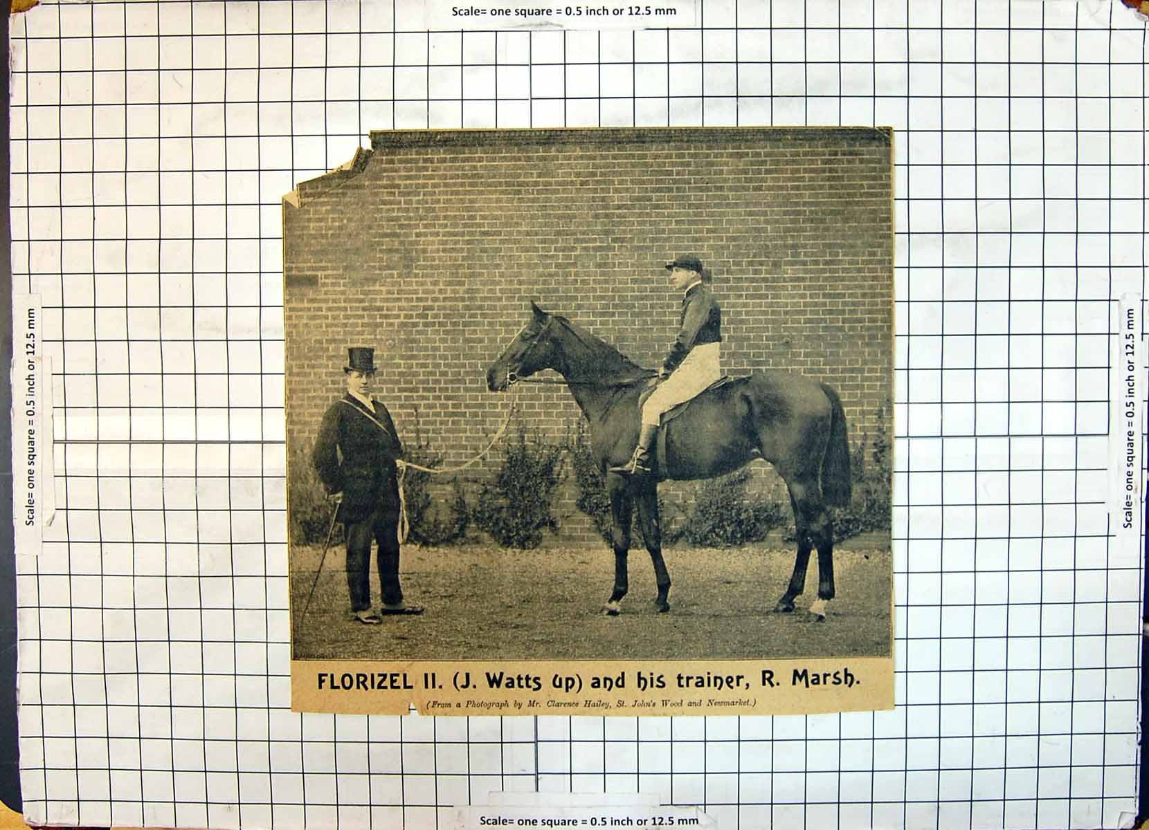 Antique Old Print Race Horse Florizel Watts Up Trainer Marsh Hailey Newmarket