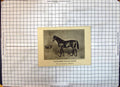 Original Old Antique Print Race Horse Thoroughbred Stallion Wisdom Sire