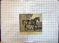 Antique Old Print Race Horse Thoroughbred Stallion Greswe-Williams Thorney