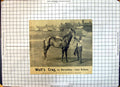 Old Race Horse Wolf'S Crag Barcaldine Lucy Ashton Sherborn Newmarket