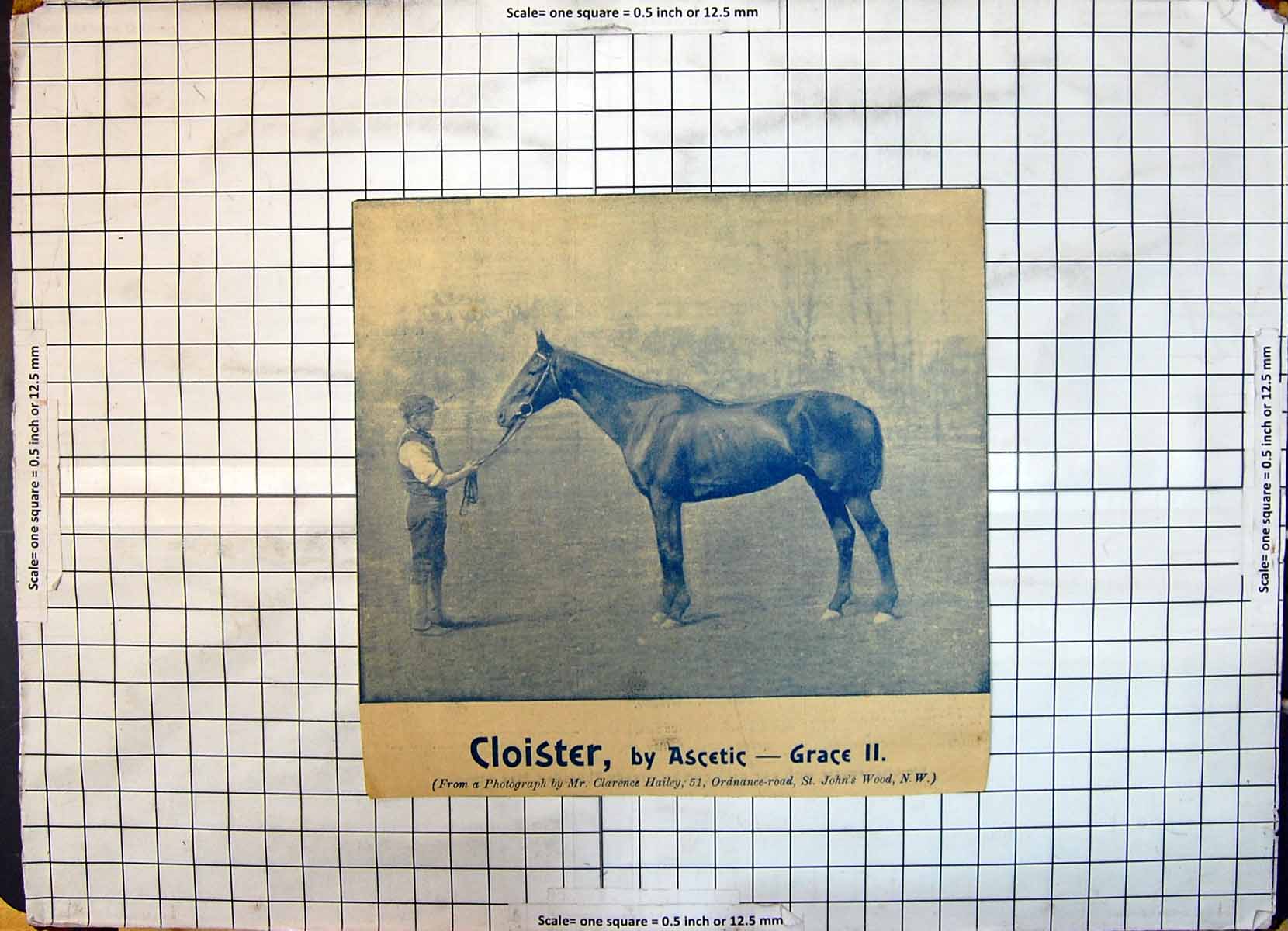 Original Old Antique Print Race Horse Ascetic Grace Clarence Hailey John'S Wood