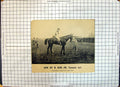 Original Old Antique Print Race Horse Son A Gun Cannon Up Liverpool Jockey