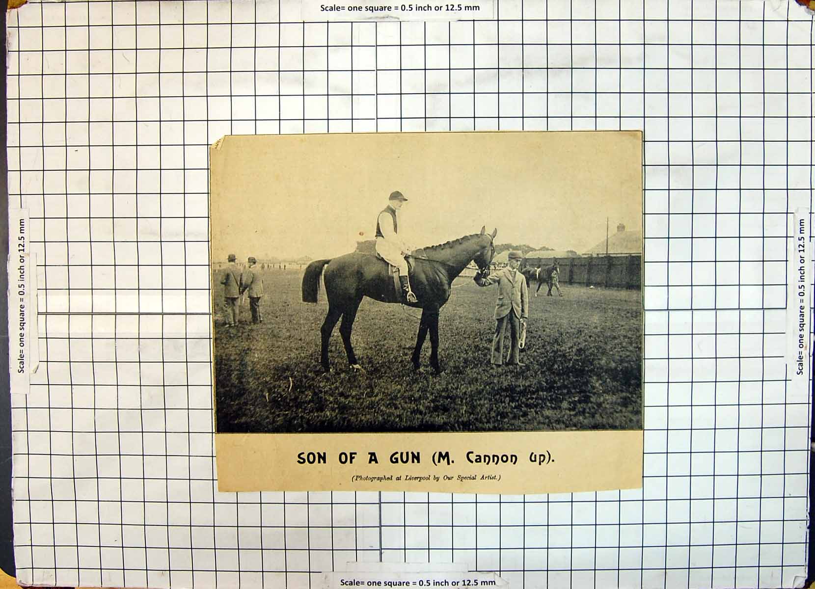 Original Old Antique Print Race Horse Son A Gun Cannon Up Liverpool Jockey