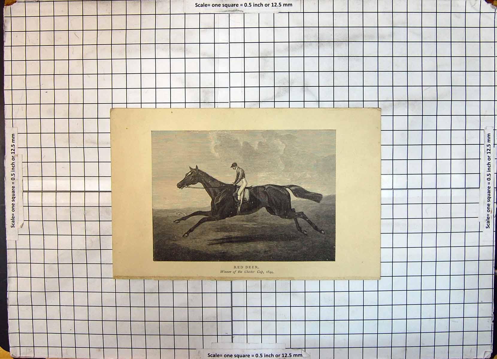 Original Old Antique Print Race Horse Red Deer Chester Cup Jockey Sport 1844