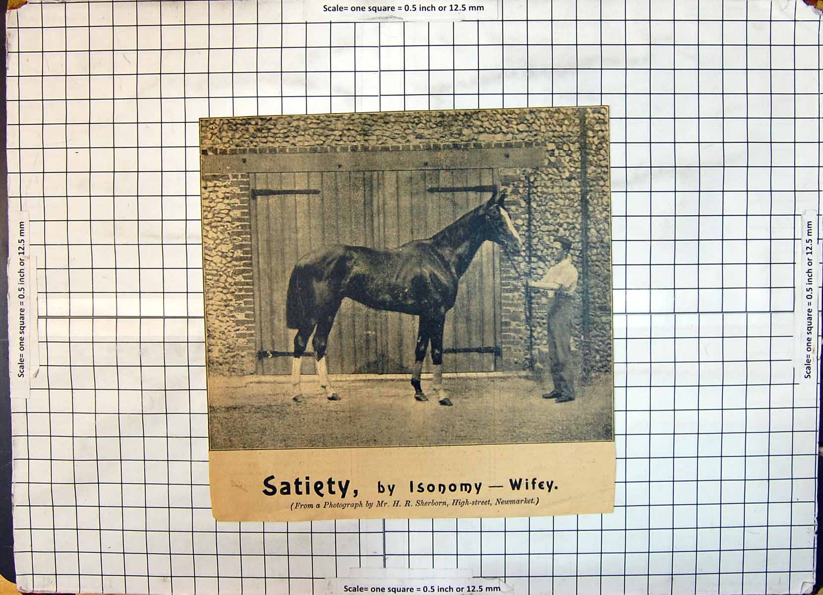 Original Old Antique Print Race Horse Satiety Isonomy Wifey Sherborn Newmarket