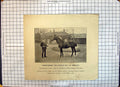 Antique Old Print Thoroughbred Colt Horse Morglay Frank Wilkinson Rotherham