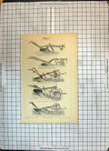 Antique Print Agriculture Machinery Plough Zweischariger Kippflug Radsech