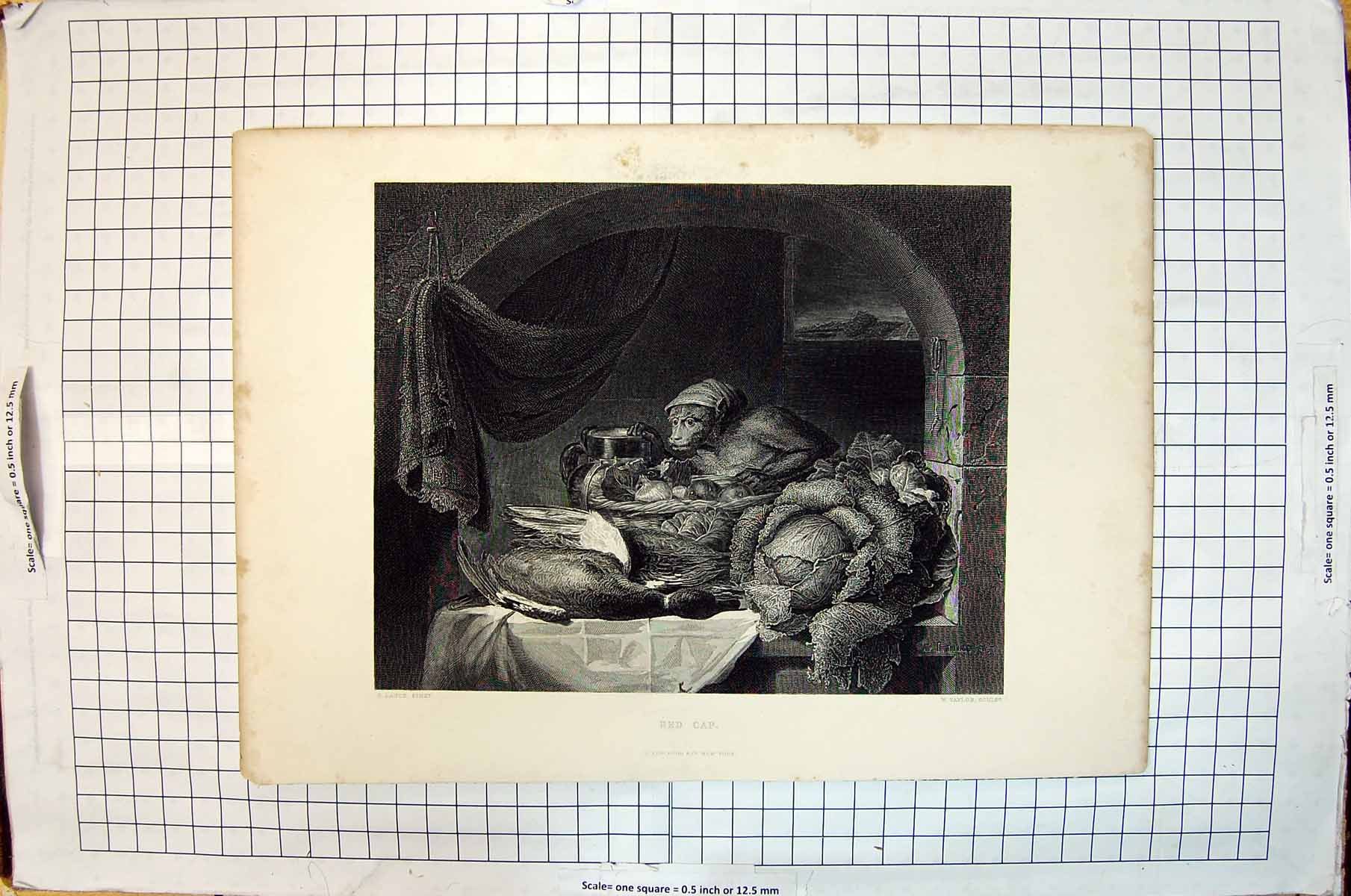 Old Print Red Cape Monkey Dead Bird Vegetables Dinner Table Taylor Lance