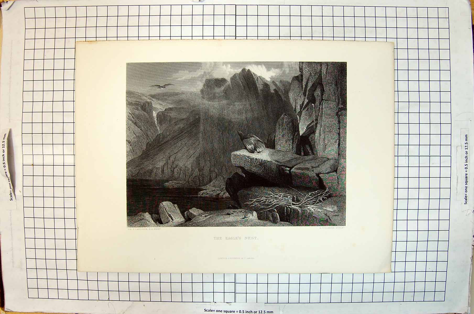 Old Antique Print Eagle Nest Bird Prey Cliffs Engraving Willmore Landseer