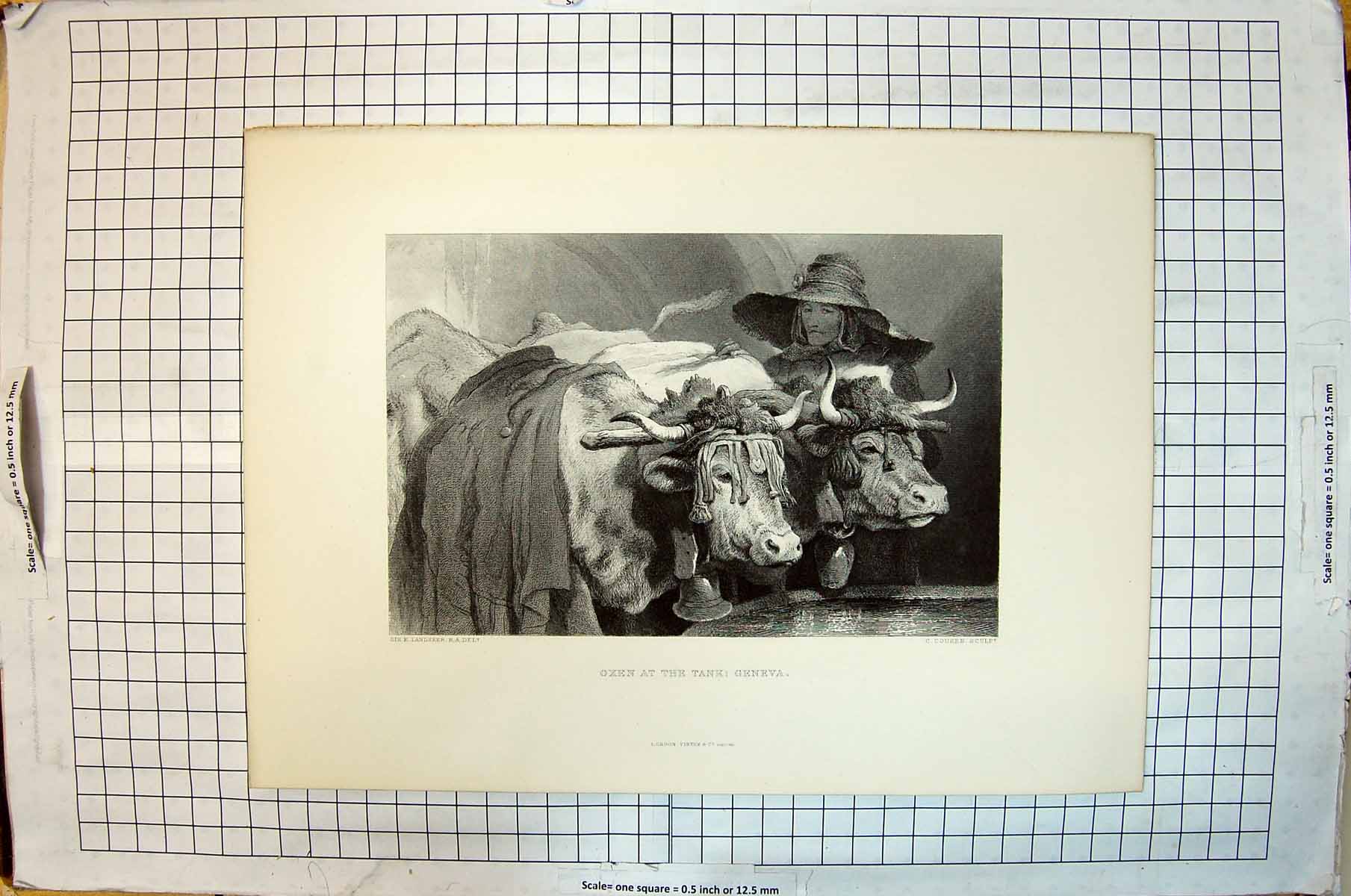 Old Antique Print Oxen Water Tank Geneva Woman Engraving Cousen Landseer