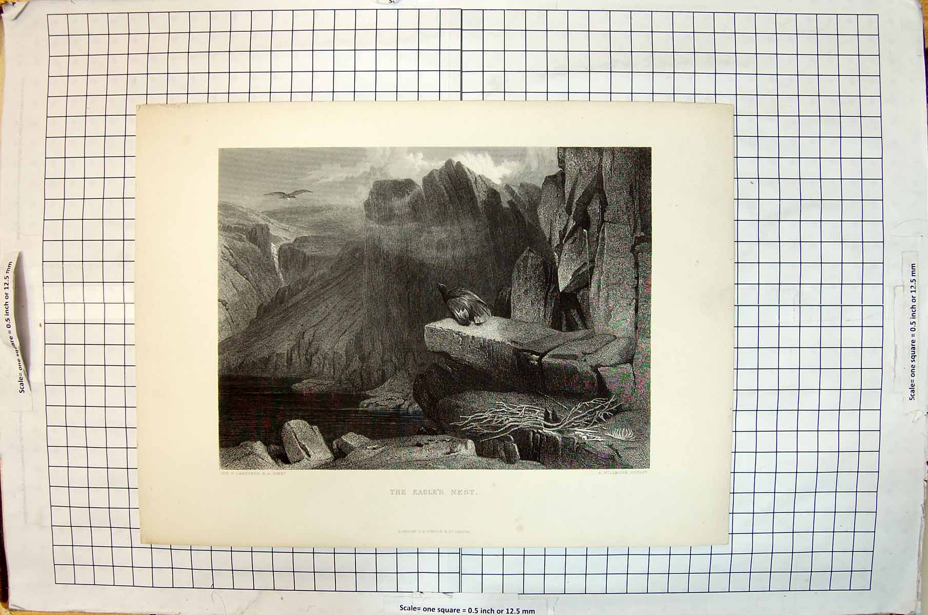 Antique Old Print Eagle'S Nest Birds Prey Cliffs Willmore Landseer Engraving