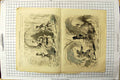 Old 1869 Christmas Pantomimes Turko Terrible Theatre Holborn Queen'S Victorian