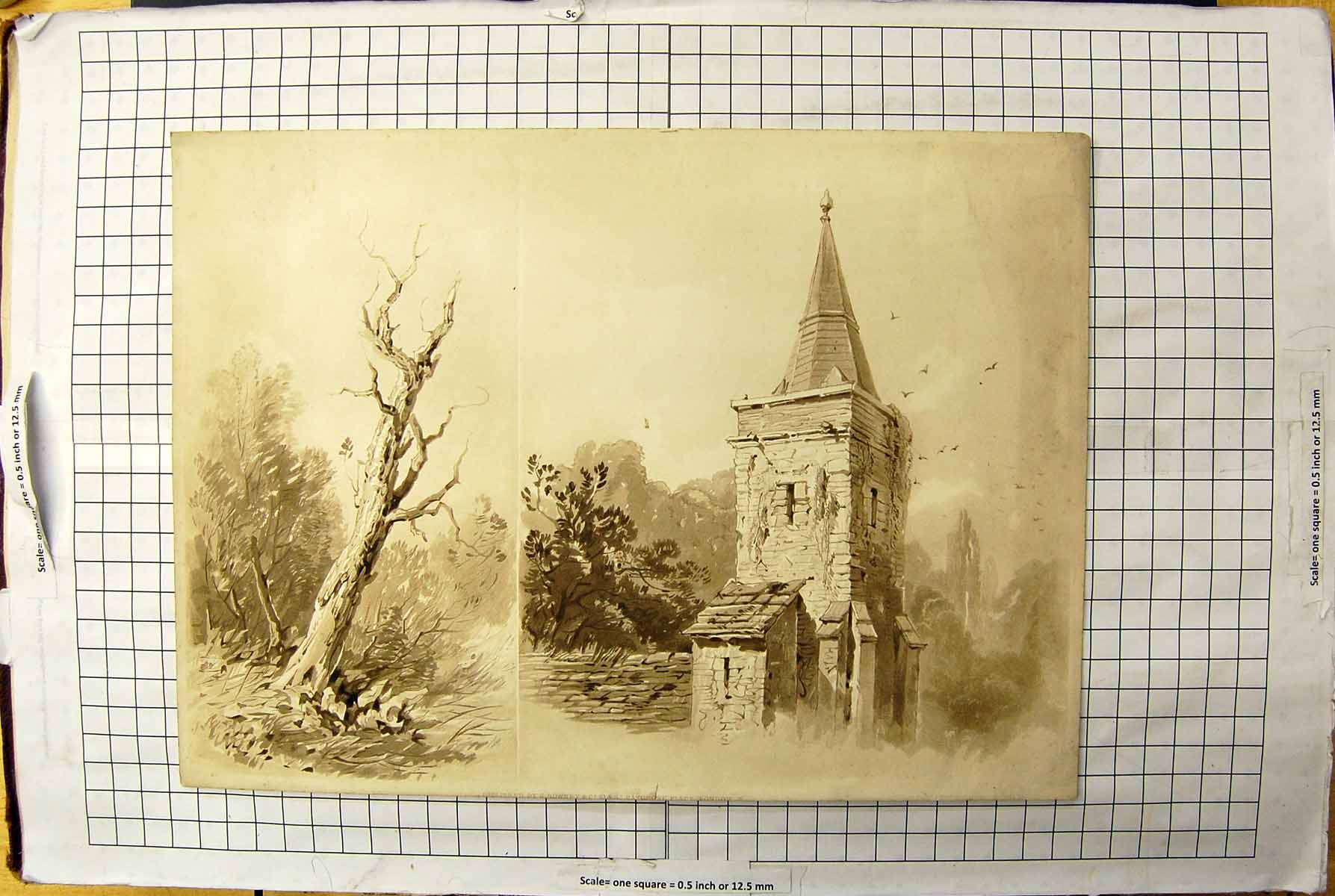 Antique Old Print Sketch Church Spire Architecture Birds Trees Rowney London