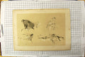 Original Old Antique Print Nature Animals Cows Heads Bull Hooves