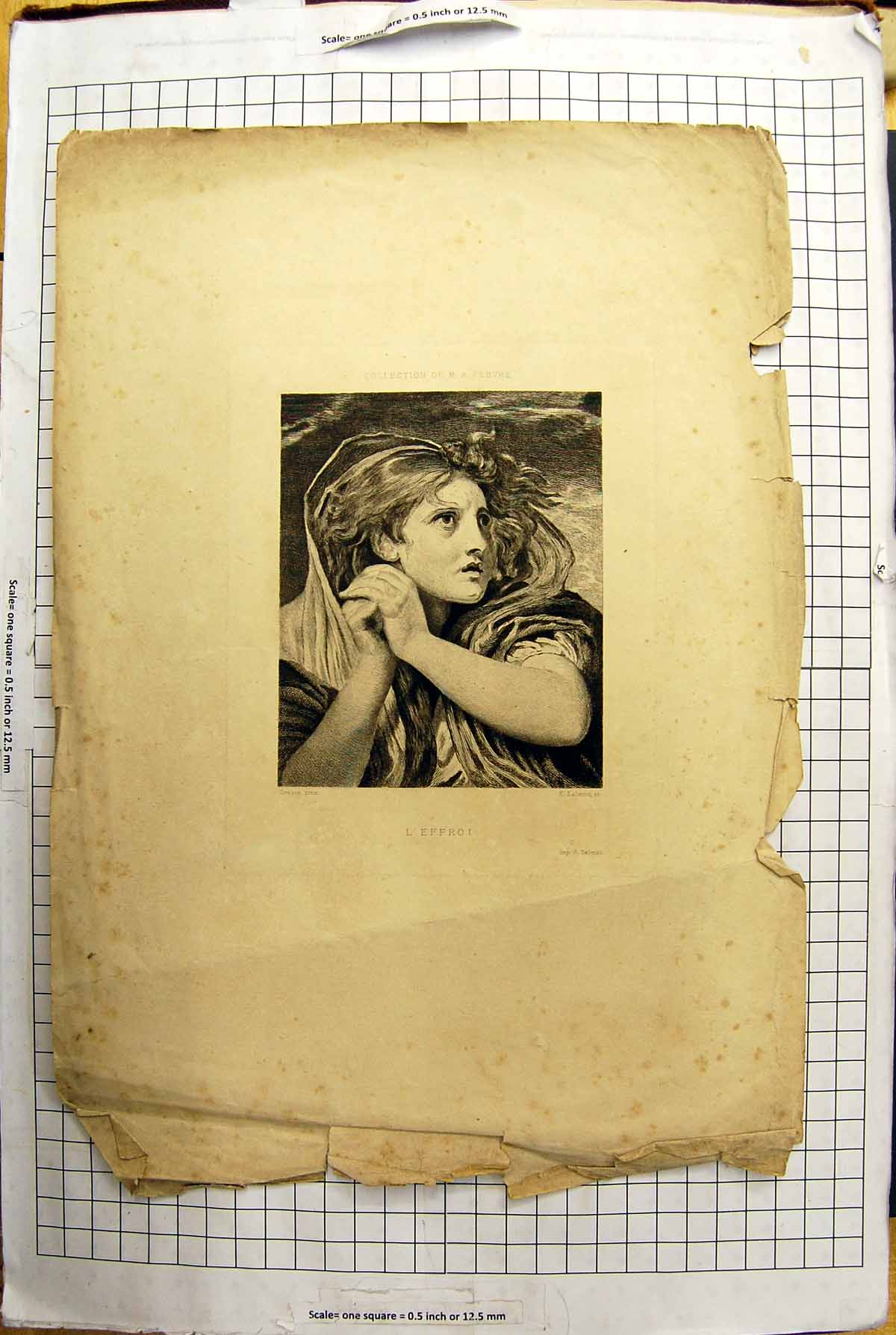 Original Old Antique Print Engraving Portrait Beautiful Woman L'Effro Salmon