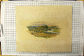 Original Old Antique Print Colour Landscape Countryside View Trees River