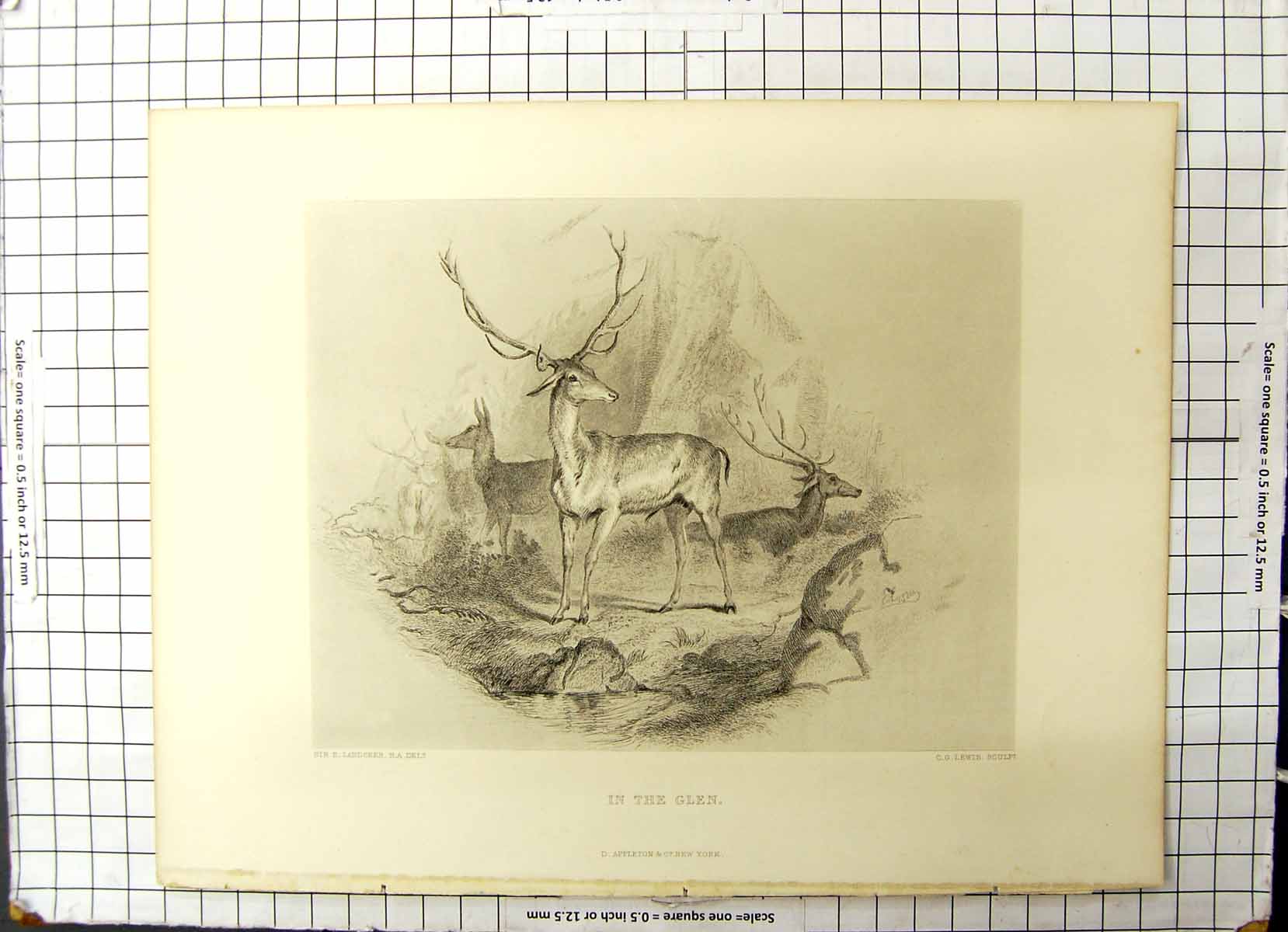 Original Old Antique Print Deer Animals In The Glen Appleton Landseer Lewis