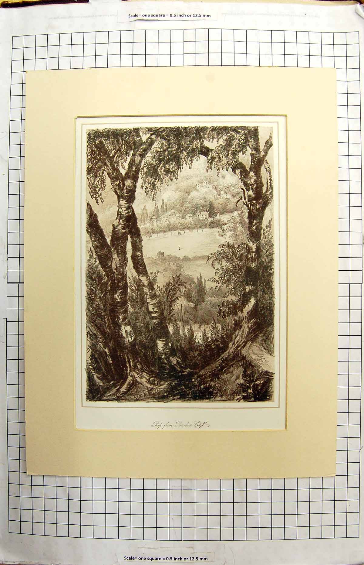 Original Old Antique Print View Peep From Beechen Cliff Trees Houses Sketch