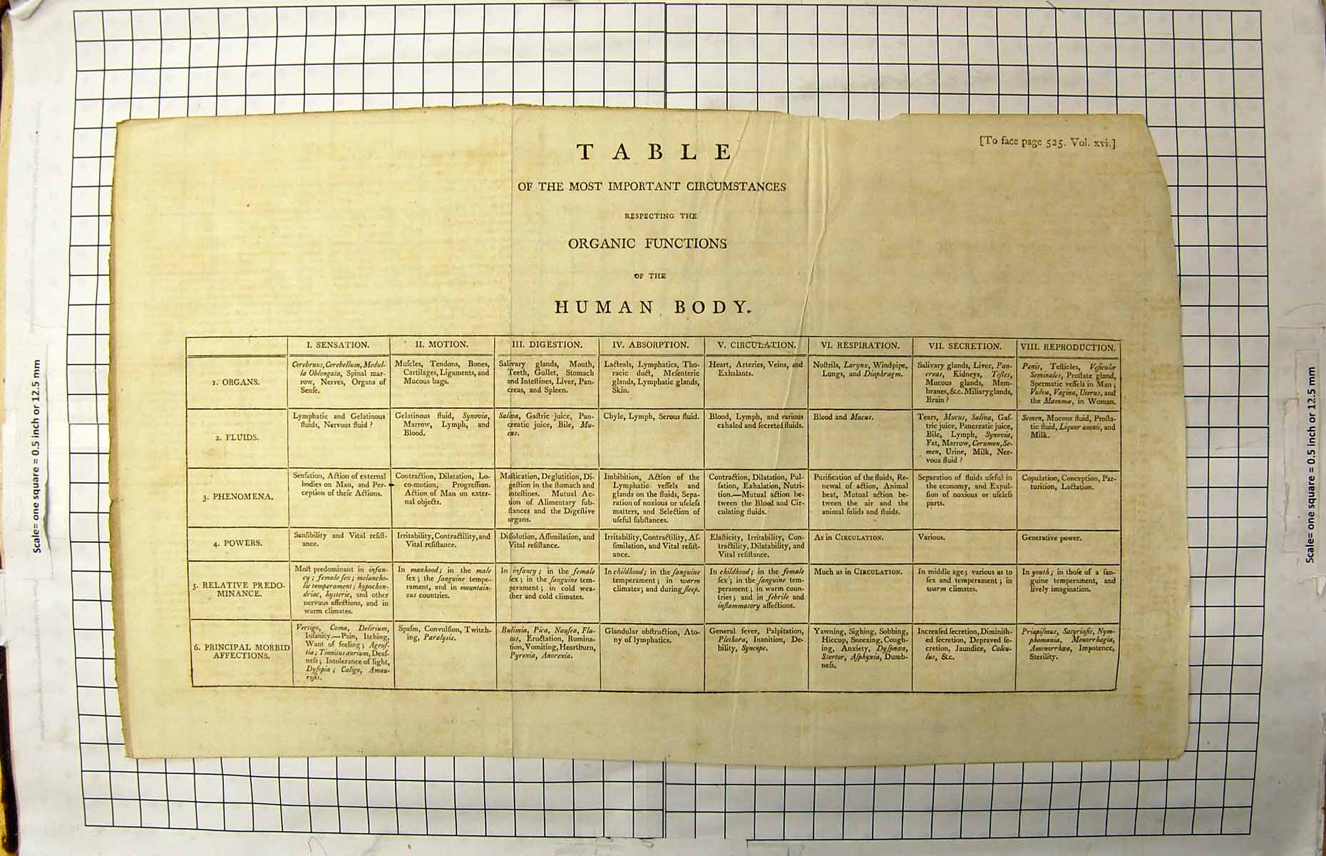 Antique Print Table Organis Functions Human Body Organs Fluids Circulation 19th