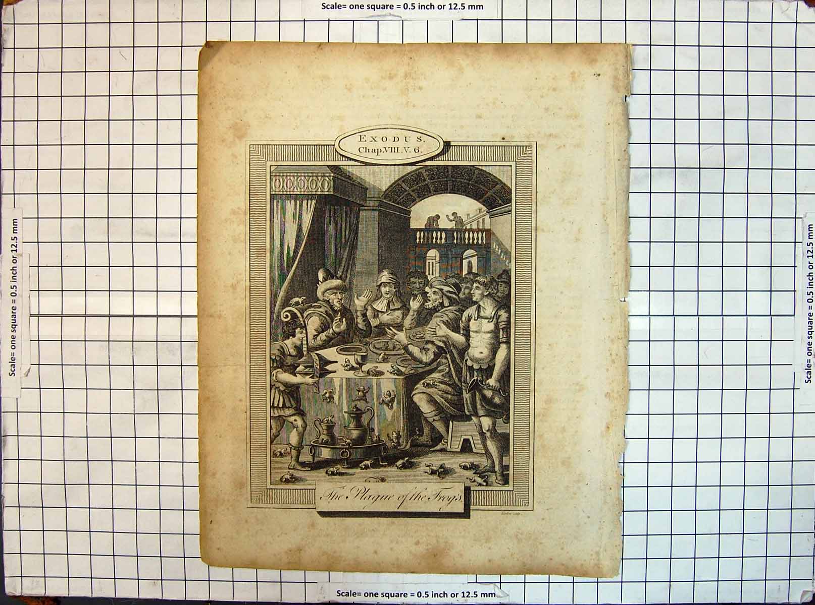 Original Old Antique Print Exodus Religion Scene Plague Frogs