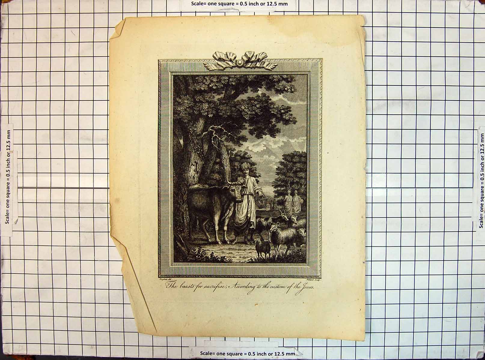 Original Old Antique Print Beasts Animals Sacrifice Custom Jews Religion