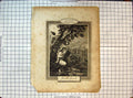 Original Old Antique Print Religion Scene Jonah'S Gourd